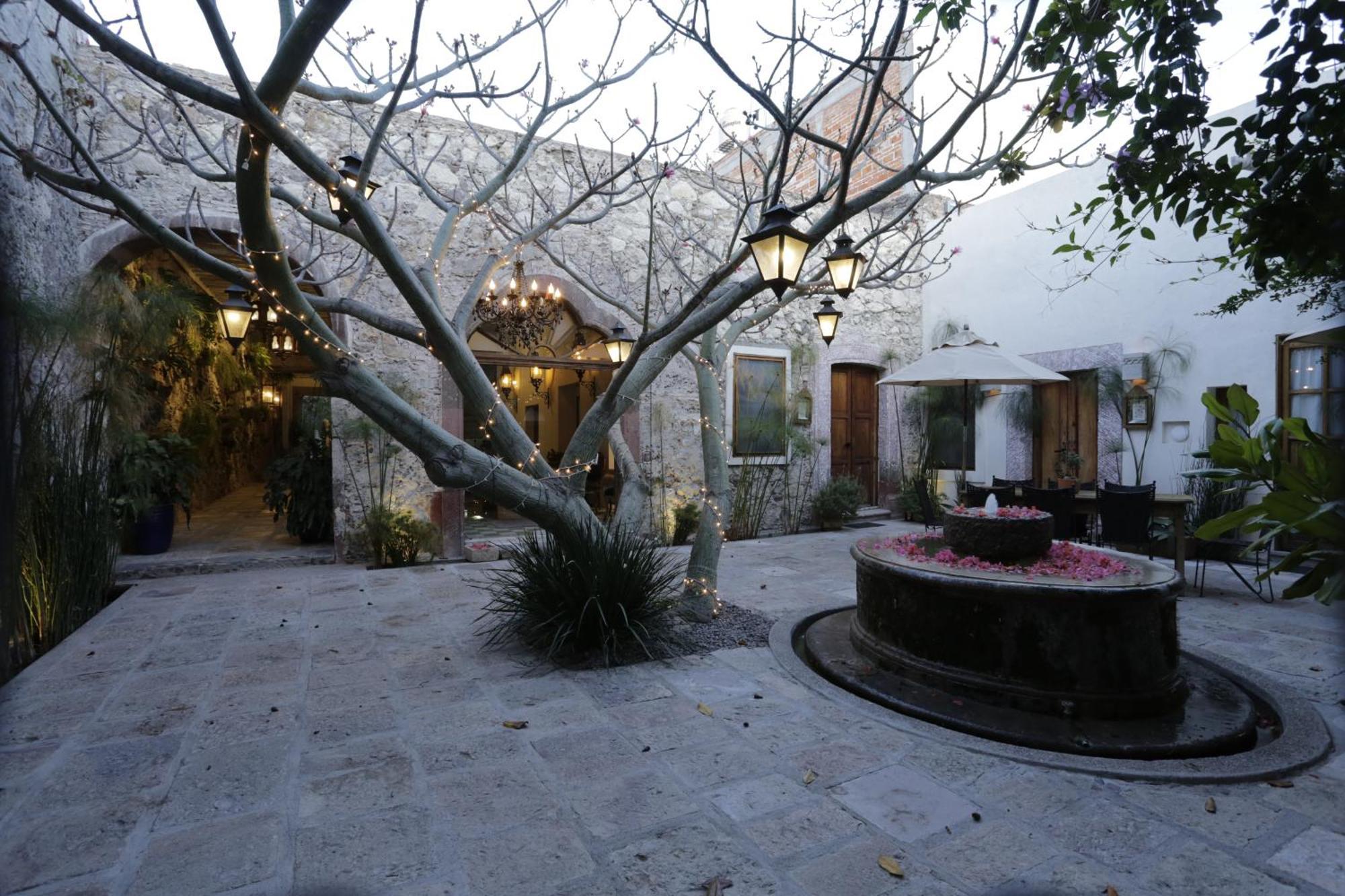 Orchid House San Miguel De Allende Exteriör bild